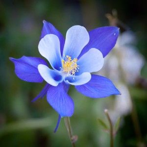 Meet your Posher, Theresa